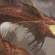 Illustration for article titled io9 Book Club Reminder: Meet December 8 to Discuss Cecelia Holland's Dragon Heart!